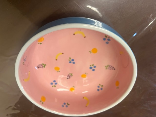 Finished painted bowl after kiln firing